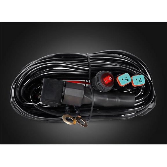 ARC Lighting 84002 Wiring Harness, 2 Outputs (1 EA)