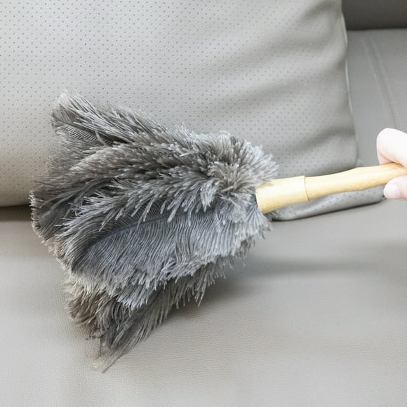 Feather Duster