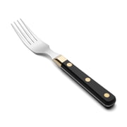 ARCOS Steak Fork 4 Inch Nitrum Stainless Steel and 200 mm blade. Ergonomic Polyoxymethylene POM Handle.