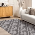 thumbnail image 1 of Unbranded Flannel Area Rugs, 4 x 6 ft, Washable, Polyester, Rectangular, Indoor, 1 of 1