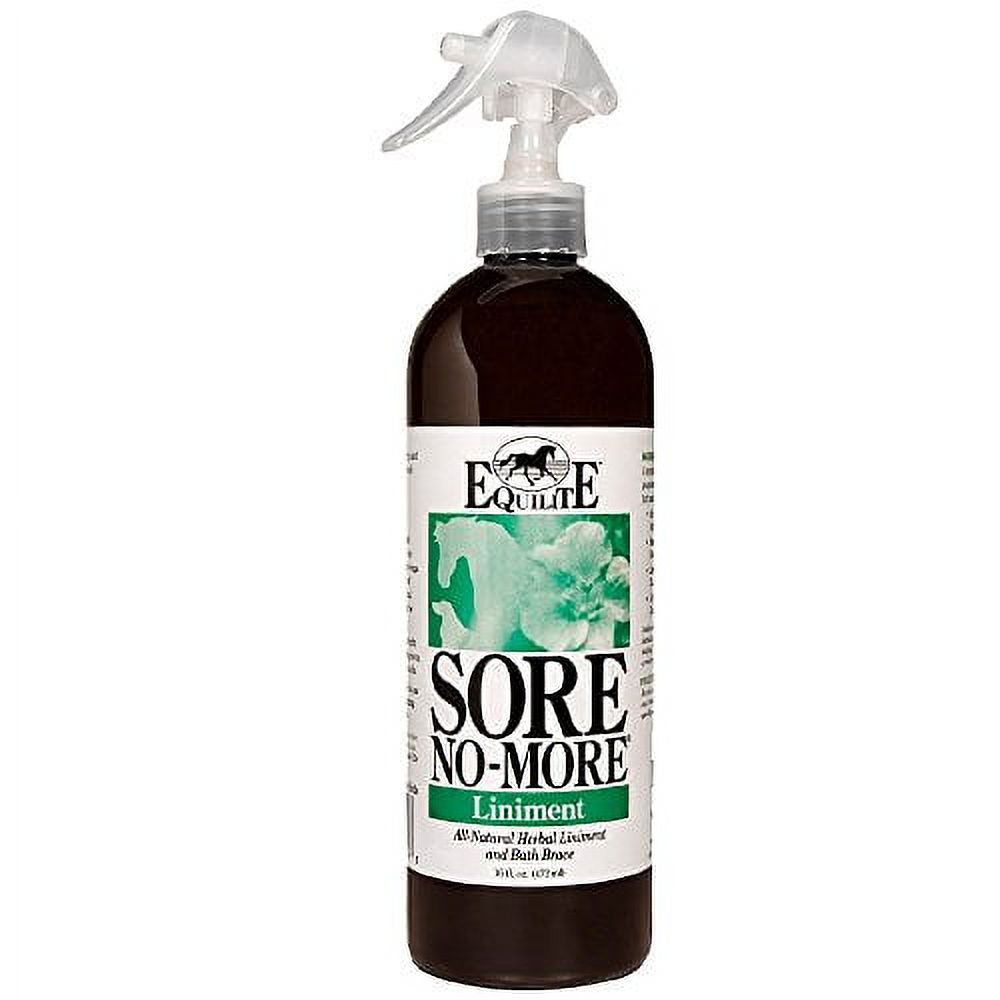 ARENUS Horse Liniment, 16-oz. - Walmart.com