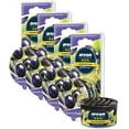 thumbnail image 1 of AREON Ken 1.23 oz. Canister Car Air Freshener in a Can Blackcurrant | 4-Pack, 1 of 1