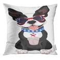 thumbnail image 1 of ARHOME 4Th of Cute Boston Terrier Celebrating July Pillow Case 18x18 Inches Pillowcase, 1 of 1