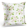 thumbnail image 1 of ARHOME Beautiful with Pink Apple Blossoms and Green Leaves on White Bloom Pillow Case Pillow Cover 18x18 inch, 1 of 1