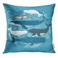 thumbnail image 1 of ARHOME Blue Humpback with Whales Beautiful Marine Mammals Sea Animals Nautical Pillow Case 16x16 Inches Pillowcase, 1 of 1