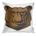 thumbnail image 1 of ARHOME Cartoon of Big Brown Bear Head with Glistening Eyes Staring Directly at The Viewer in Gallery Pillow Case 18x18 Inches Pillowcase, 1 of 1