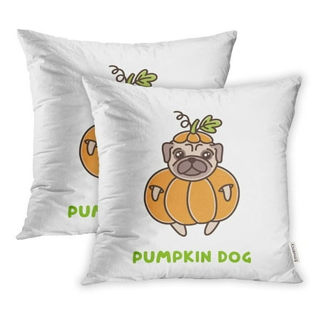 ARHOME Cute Dog of Pug Breed in Pumpkin Costume Patch and for Thanksgiving Halloween Pillow Case Pillow Cover 18x18 inch Set of 2