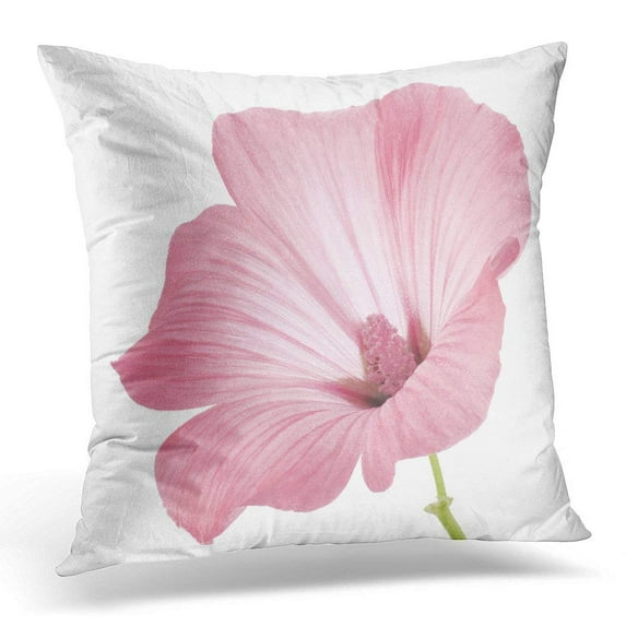 ARHOME Red Flower Studio Shot of Pink Colored Mallow White Large Depth Field Dof Macro Petal Pillow Case Pillow Cover 18x18 inch