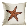 thumbnail image 1 of ARHOME Small Red Five Armed Echinodermata Asteroidea on White Sand Freehand Linear Black Ink Emblem Sketchy Pillow Case 20x20 Inches Pillowcase, 1 of 1