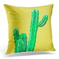 thumbnail image 1 of ARHOME Throw Pillow Case Cushion Cover Blue Bright Green Cactus Gallery Design Minimal Summer Stillife Concept on Yellow Colorful Creative Pillow Cover 20x20 Inches, 1 of 1