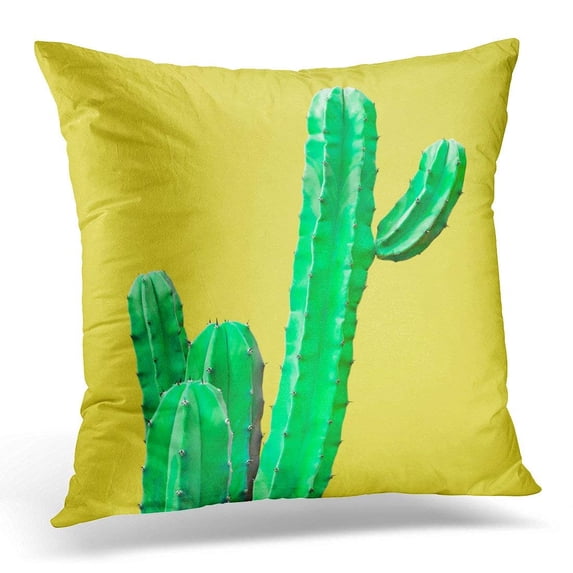ARHOME Throw Pillow Case Cushion Cover Blue Bright Green Cactus Gallery Design Minimal Summer Stillife Concept on Yellow Colorful Creative Pillow Cover 20x20 Inches