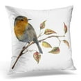 thumbnail image 1 of ARHOME Watercolor Robin Sitting on Tree Branch with Red and Yellow Leaves Autumn with Bird and Fall White Nature Pillow Case Pillow Cover 20x20 inch, 1 of 1