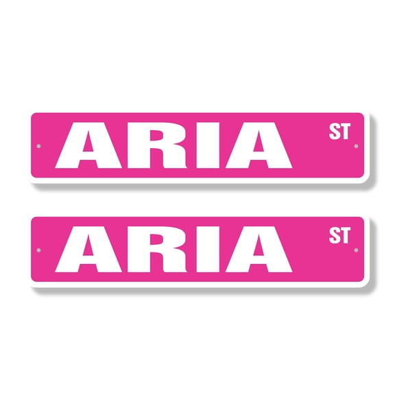 ARIA Classic Street Sign (2 Pack) Childrens Name Room Sign Road Sign | 4" X 18" Plastic Address Sign