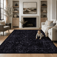 thumbnail image 1 of ARICOEASY 5' x 7' Washable Area Rug, Vintage Boho Black Area Rug for Living Room Bedroom, Non-Slip Low Pile Stain Resistant Indoor Rug, 1 of 8