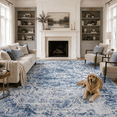 thumbnail image 1 of ARICOEASY 8'x10' Area Rugs for Living Room, Washable Vintage Retro Rug, Soft Distressed Indoor Carpet, Low Pile Lightweight Non Slip Rug for Living Room, Bedroom, 1 of 9