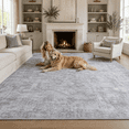 thumbnail image 1 of ARICOEASY 8x10 Area Rugs Large Area Rug for Bedroom Dining Room Kitchen Foldable Nonslip Rug, Grey, 1 of 8