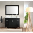 thumbnail image 1 of ARIEL HOLLANDALE 49 IN. SINGLE SINK VANITY SET IN BLACK, 1 of 4