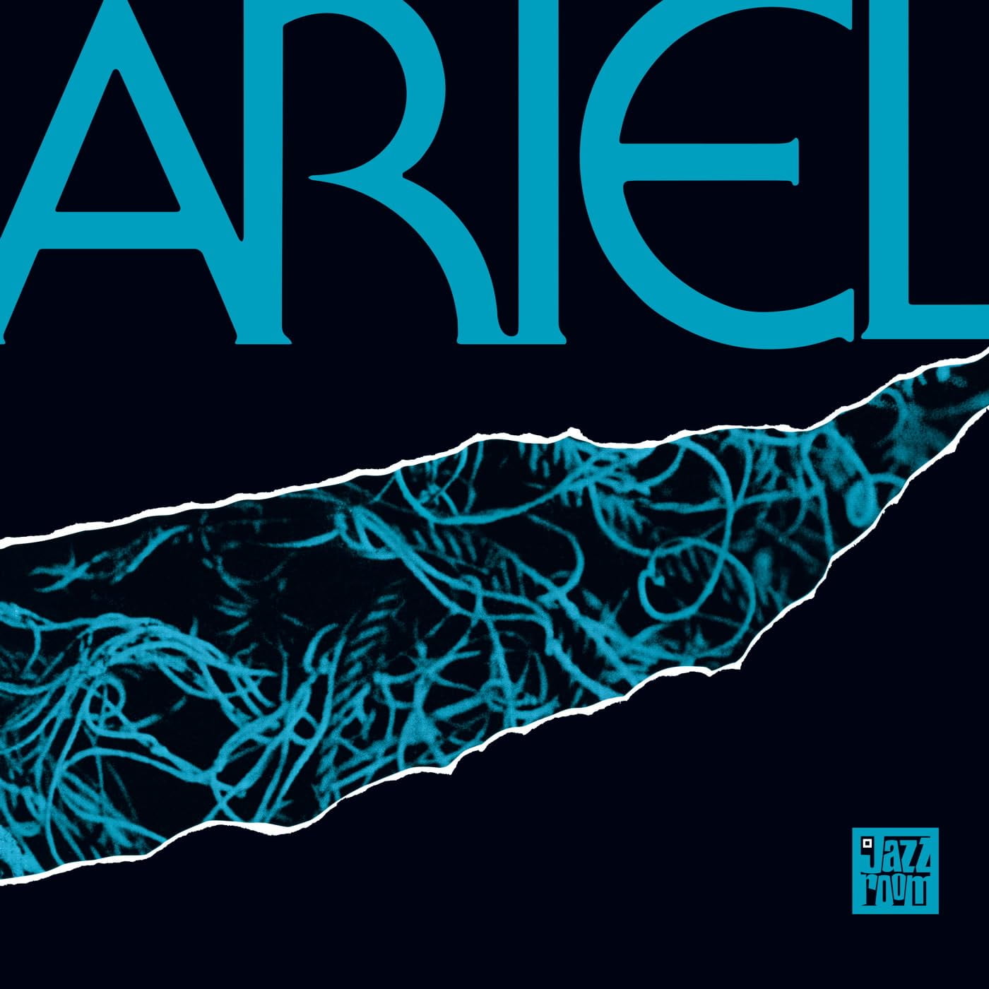 ARIEL Vinyl Disc Vinyl Disc