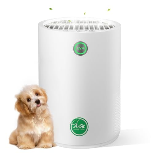 ARINT AIR PURIFIER, H13 TRUE HEPA AIR PURIFIER 5-LAYER FILTRATION, KJ80A - WHITE