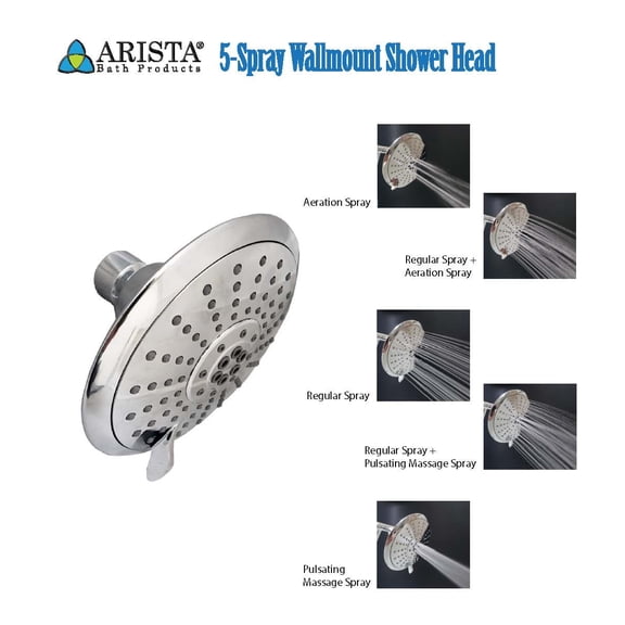 ARISTA 5-Spray Fixed Wallmount Shower Head in Chrome 2.0 GPM