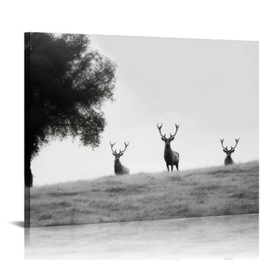 ARISTURING  Black and White Deer Family Photo Canvas Wall Art