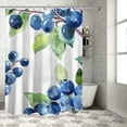 thumbnail image 1 of ARISTURING Blueberries Leaves Watercolor Painting Shower Curtain for Bathroom Decoration 60x72, 1 of 7