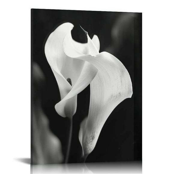 ARISTURING Calla Lily Canvas Wall Art: Black and White Flower Artwork Modern Floral Wrapped Canvas Picture Prints Elegant Living Room Painting Photography Ready to Hang for Bedroom Bathroom Office