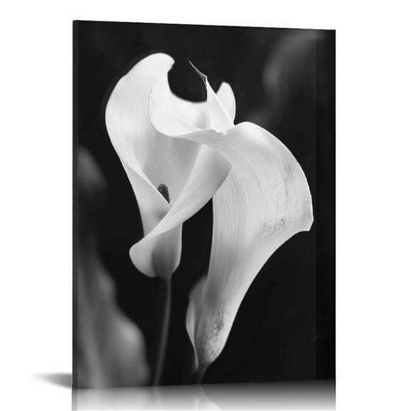ARISTURING Calla Lily Canvas Wall Art: Black and White Flower Artwork Modern Floral Wrapped Canvas Picture Prints Elegant Living Room Painting Photography Ready to Hang for Bedroom Bathroom Office