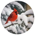 thumbnail image 1 of ARISTURING Cardinal Bird Snow Tree Flannel Round Doormat Floor Mat - Non-Slip Memory Foam Mat 31x31in, 1 of 7