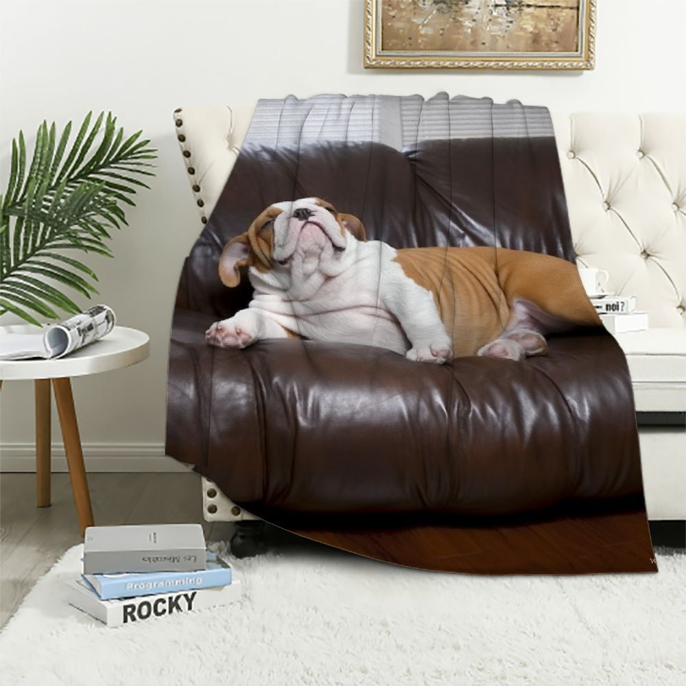 ARISTURING Cute Bulldog Flannel Throw Blanket for Bed Couch Sofa Super Soft Warm Plush Blanket English Bulldog Puppy Relaxing on Black Leather Sofa