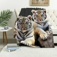 thumbnail image 1 of ARISTURING  Cute Tiger Cub Blanket Cozy Warm Soft Plush Throw for Couch Sofa Bed, 1 of 6