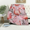 thumbnail image 1 of ARISTURING Flamingo Blanket Cute Pink Throw Blankets Soft Warm Lightweight Cozy Throws for Adult Girls Women Bed for Living Room Bedding Couch Decor, 1 of 6