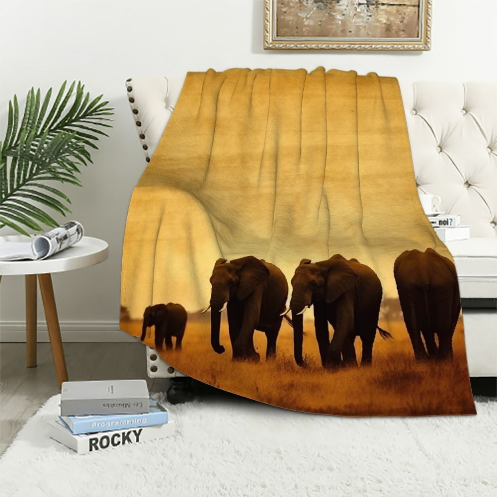 ARISTURING Flannel Throw Blanket African Elephant Family Amboseli Kenya