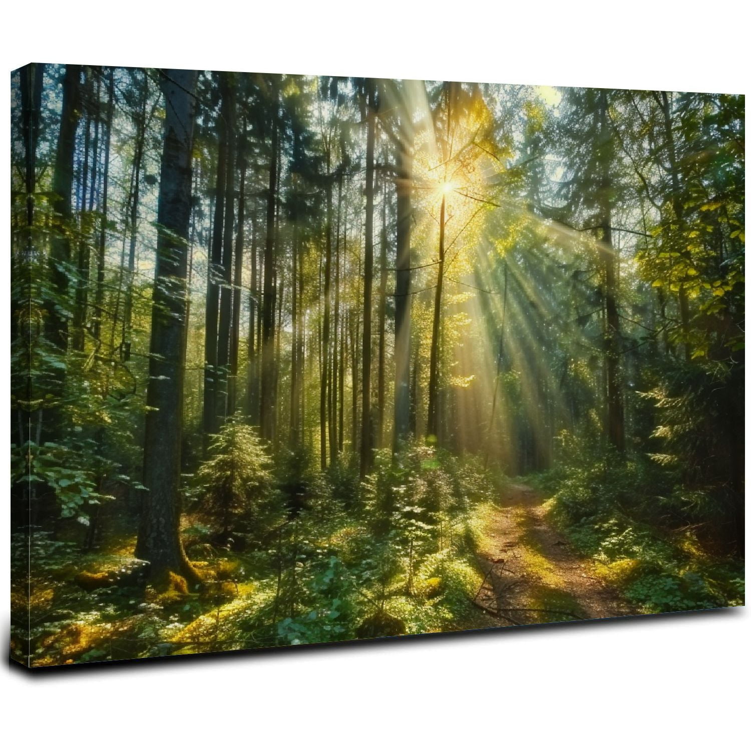 ARISTURING Forest Wall Art Nature Pictures Wall Decor Living Room ...