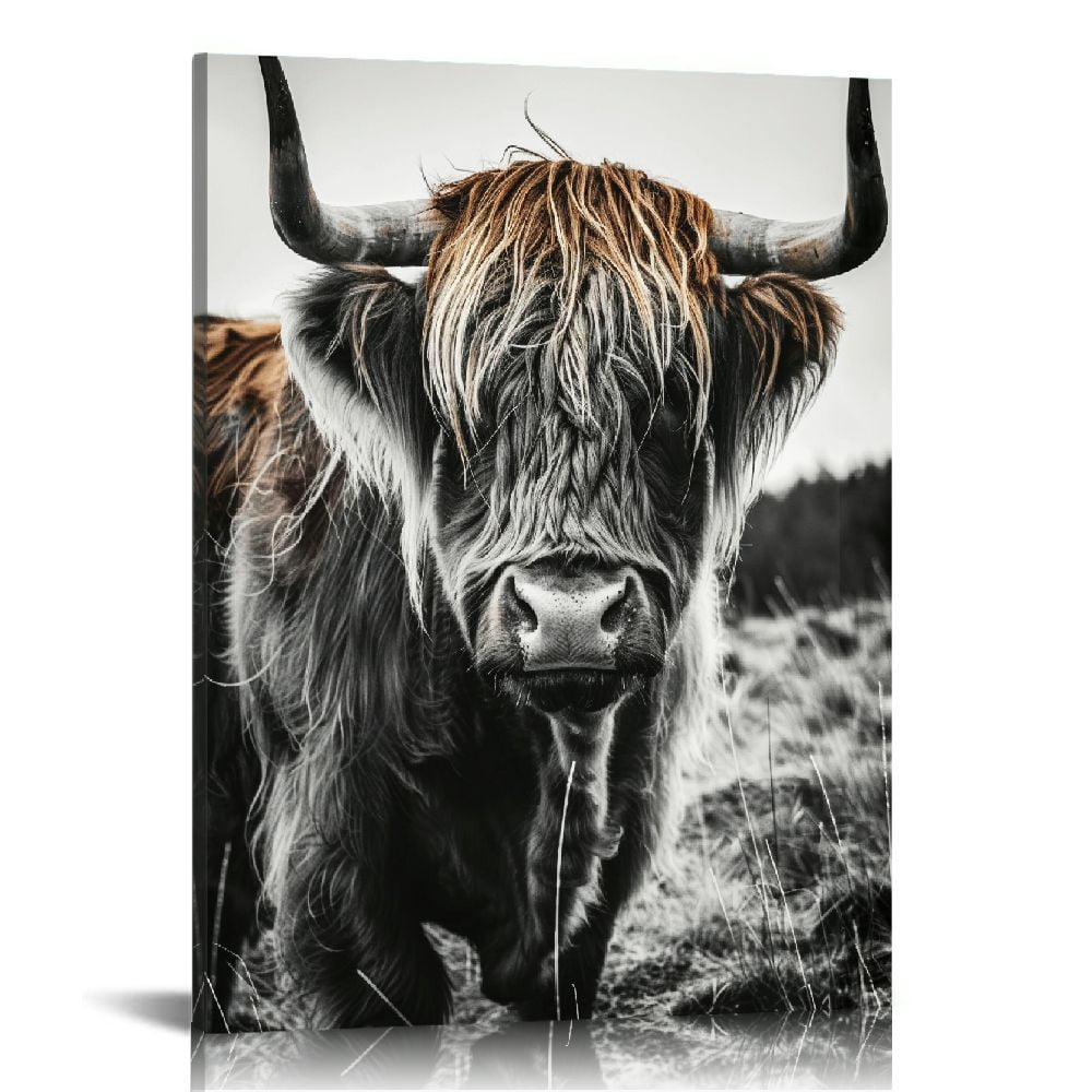 Highland Cow Black and White Canvas Wall Art 16x20