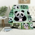 thumbnail image 1 of HENGT  Panda Blanket Panda Gifts for Girls Panda Throw Blanket for Couch Bed Sofa Panda Bear Gifts Panda Gifts for Women Kids Teens Birthday Gifts  Soft Cozy Plush Reversible Blanket, 1 of 6