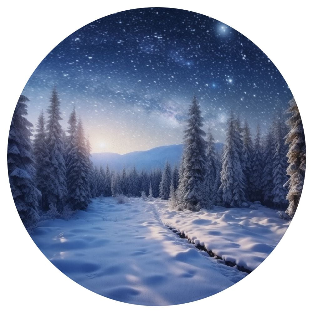 ARISTURING Snowy Landscape Trees Star Filled Sky Flannel Round Doormat