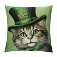 thumbnail image 1 of ARISTURING  St Patricks Day Pillow Cover Cat Green Hat Shamrock Decor Farmhouse Holiday Spring Pillow Case Decorations for Home Sofa Couch, 1 of 5