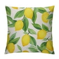 thumbnail image 1 of ARISTURING  Throw Pillow Cover Lemon Lime Tree Home Decor Pillowcase for Sofa, 1 of 5