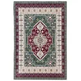 thumbnail image 1 of ARJINCUTE Vintage Oriental Persian Area Rug, 3' x 5', Washable Low Pile Carpet with TPR Non-Slip Backing, Boho Floral Sage Green Indoor Rug for Doormat Bedroom Entryway Living Room, 1 of 1