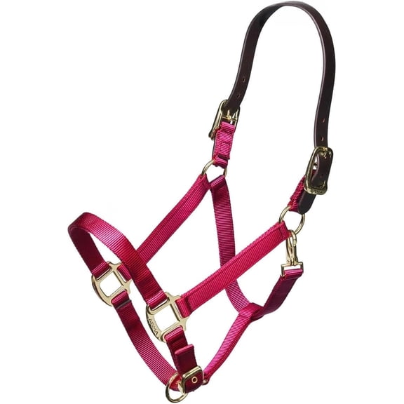 ARMA Shires Nylon Halter with Breakaway Leather Strap - Ultimate Horse Safety Pony / Raspberry
