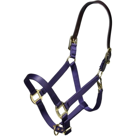 ARMA Shires Nylon Halter with Breakaway Leather Strap - Ultimate Horse Safety XFull / Navy