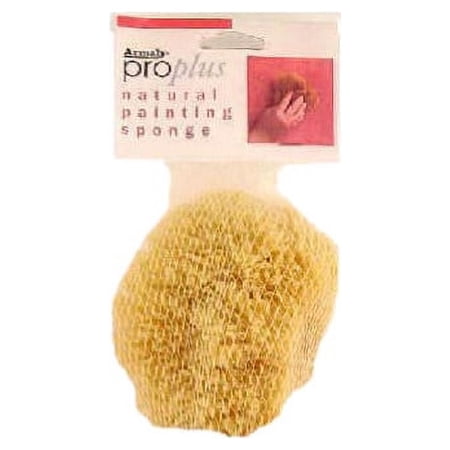 ARMALY BRANDS 15216 Small Medium Texture Paint Sponge