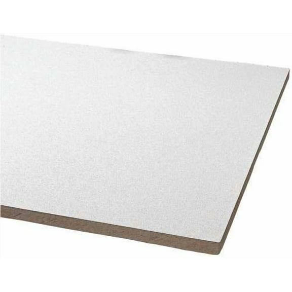 ARMSTRONG ACOUSTICAL CEILING TILE 868B CLEAN ROOM VL UNPERFORATED HUMIGUARD PLUS, 24X24X5/8 IN., 12 PER CASE CA3