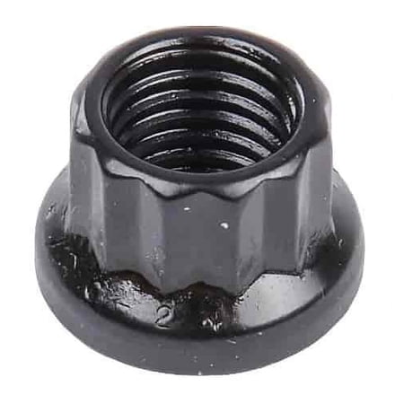 ARP 300-8301 Black Oxide 12-Point Nut 5/16 -24 3/8 Socket Size 1/pkg