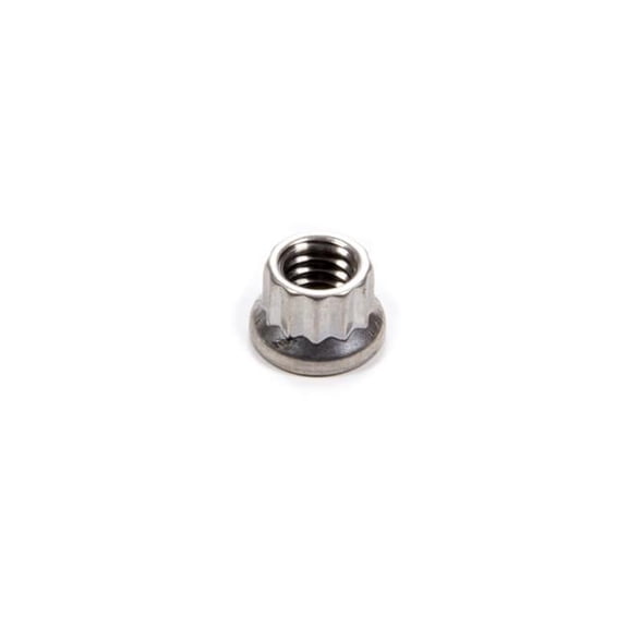 ARP 401-8303 Stainless Steel 12 Point Nut - 0.3125-18 in.