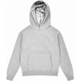 thumbnail image 1 of ARRIA by Kiss Satin-Lined Hoodie – Oversized Hoodie for Frizz Free Hair, Comfy Premium Cotton Sweatshirt, Women’s Fashion Hoodie, Fall Winter & Spring Trendy Essential Pullover (Medium, Gray), 1 of 6
