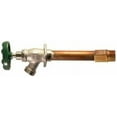 thumbnail image 1 of ARROWHEAD BRASS & PLUMBING 455-12LF 12 Frost Free Hydrant Faucet - Lead Free - 1/2 Female Pipe or 3/4 Male Iron Pipe - Red Brass by Arrowhead Brass & Plumbing, 1 of 1