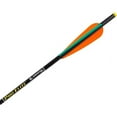 thumbnail image 1 of ARROWS PRO ELITE CARBON 20 6PK, 1 of 1
