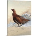 thumbnail image 1 of ARTCANVAS A Red Grouse In The Snow 1909 Canvas Art Print by Archibald Thorburn - Size: 26" x 18" (1.50" Deep), 1 of 9